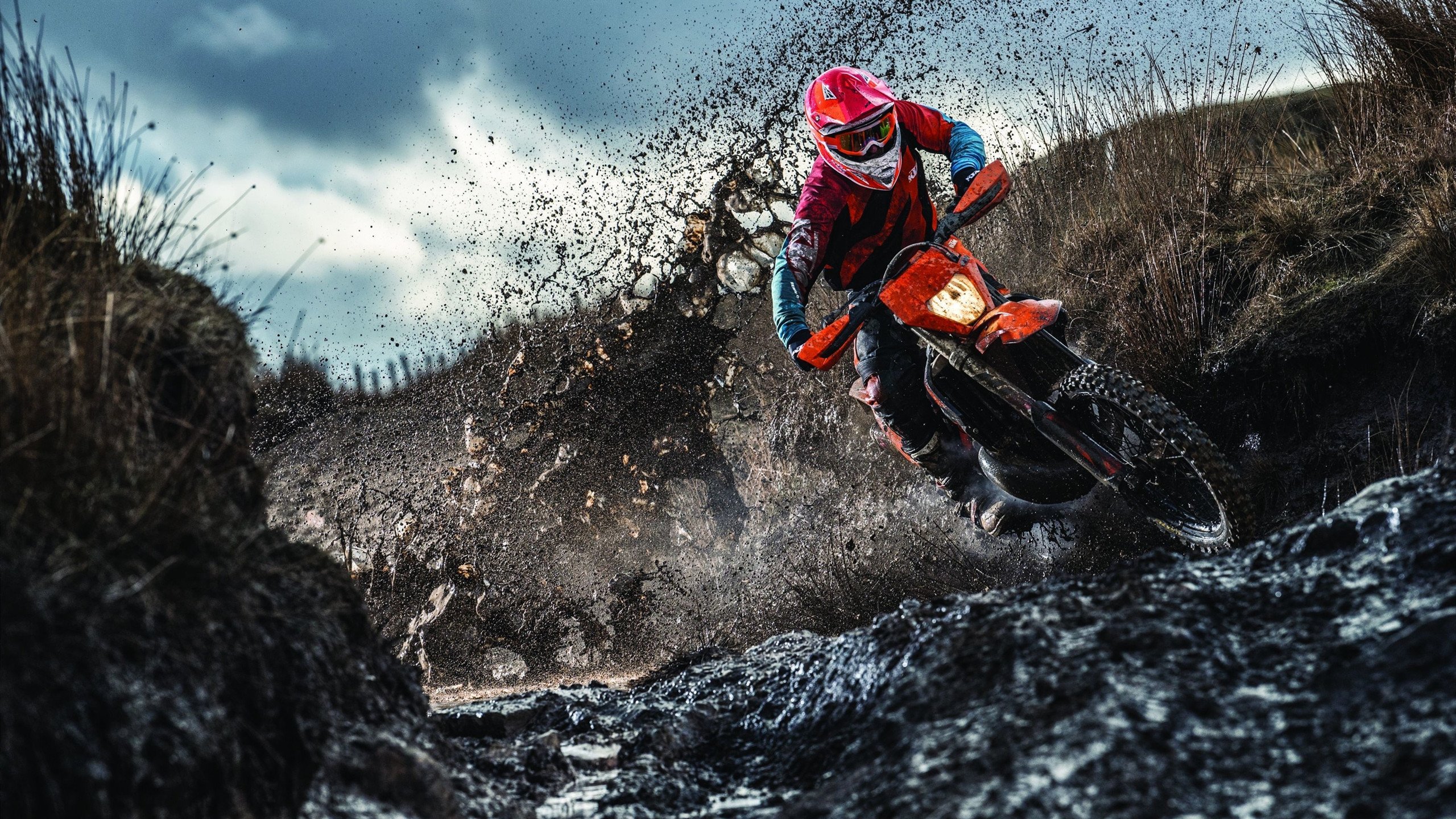 开云体育官网-时空交错的美洲之夜，当克利夫兰骑士踢进2026世界杯