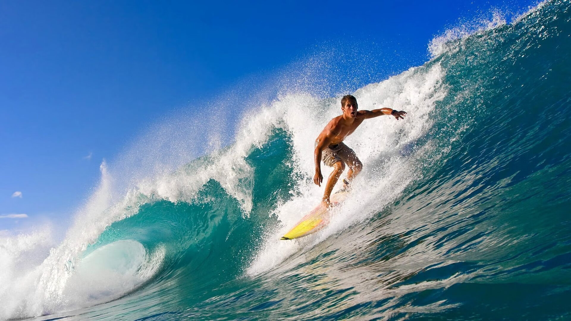 开云体育中国-不只数据炸裂！杰伦·格林狂暴40+背后暗藏玄机，评分拉满是否真值？